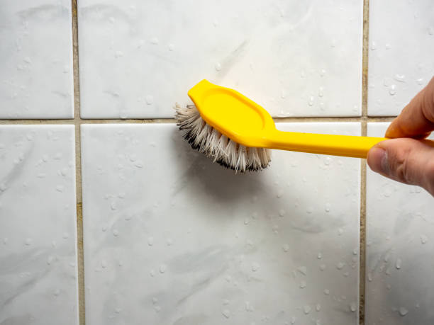 Best Local Mold Removal Service  in Howard Lake, MN