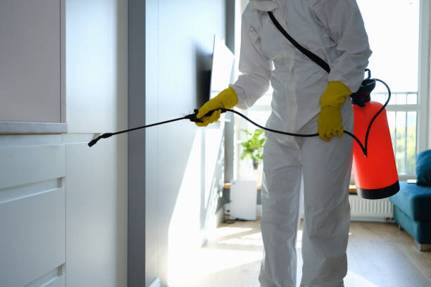 Best Commercial Mold Removal  in Howard Lake, MN
