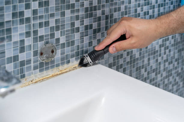 Best Mold Testing  in Howard Lake, MN
