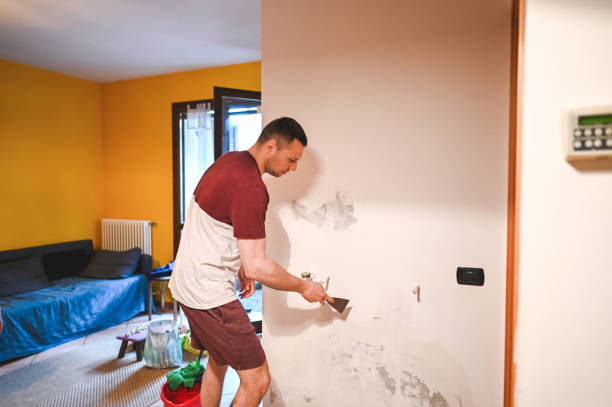 Best Same-Day Mold Removal  in Howard Lake, MN